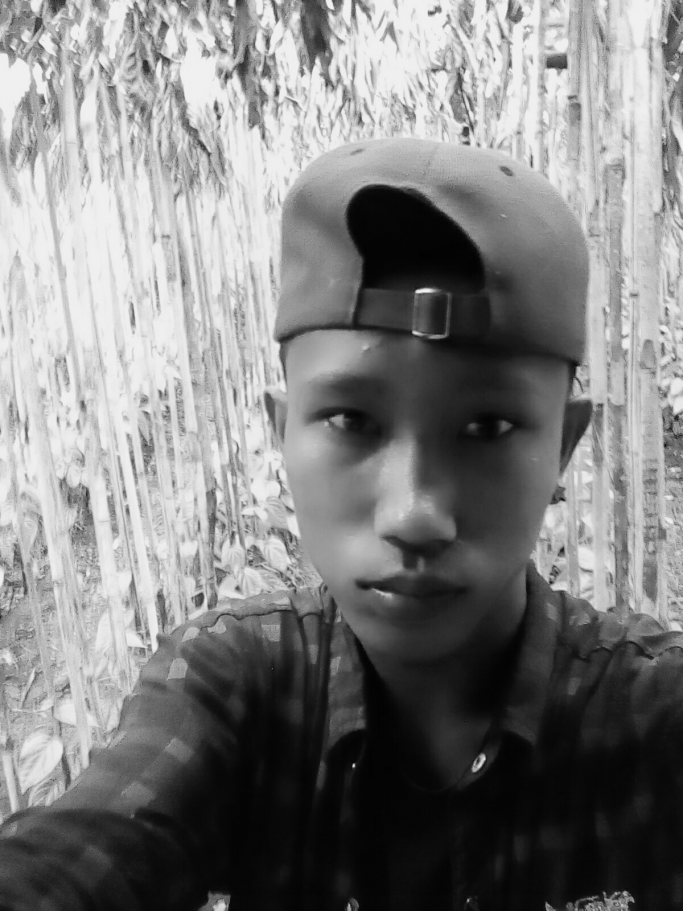 Thein SWe