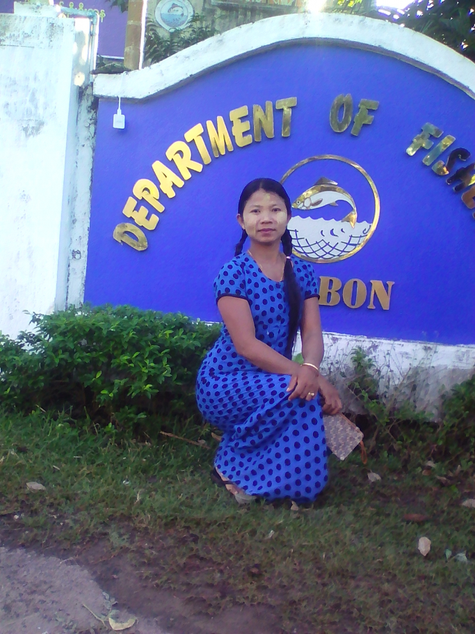 ခိုင်သိန်းချေ