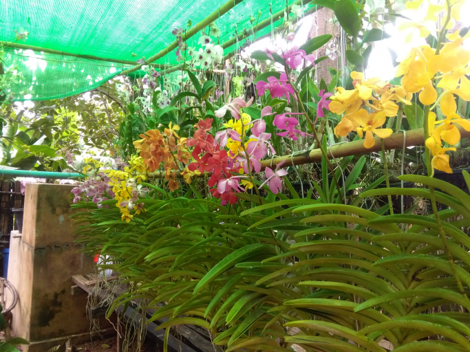ရဲဝင်းကျော်
