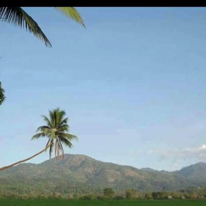 thapaw