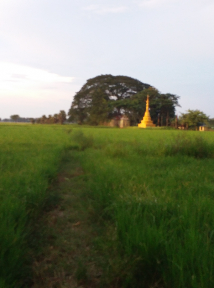 SAW MIN THEIN