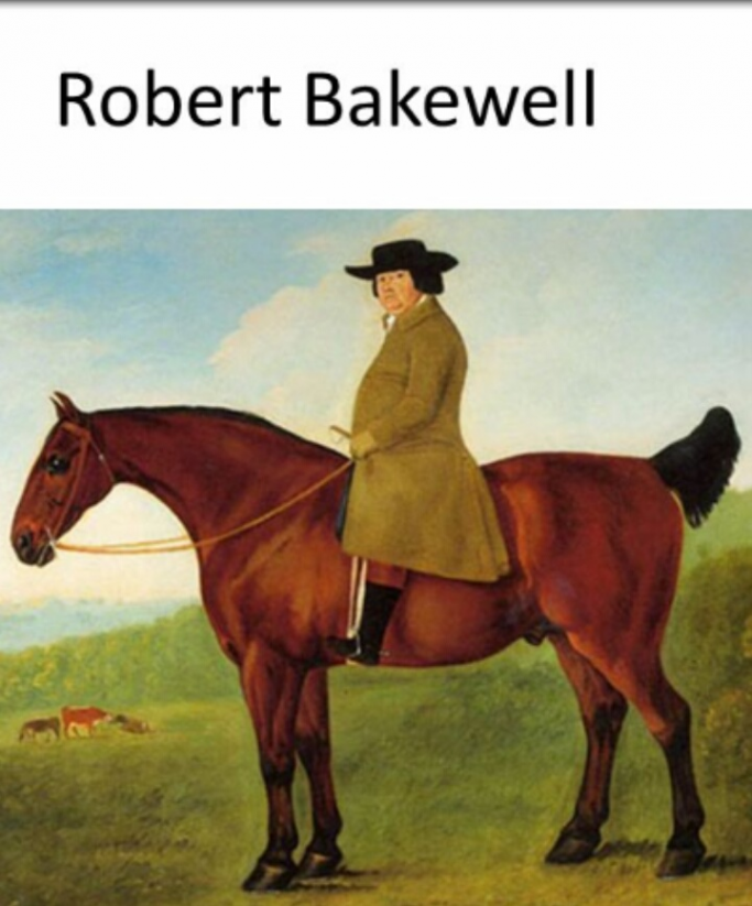 Robert Bakewell
