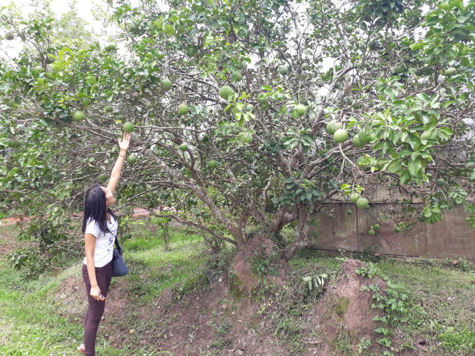 Min Thu Thu Ko