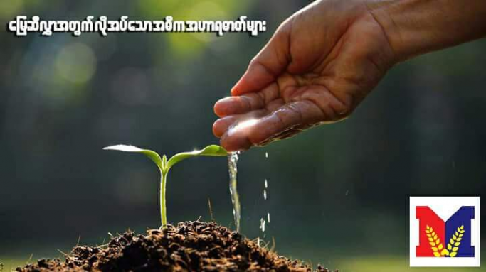 ပြည့်ဖြိုးကျော်