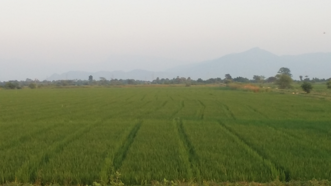 kyawyelin