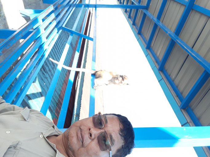UThein Zaw
