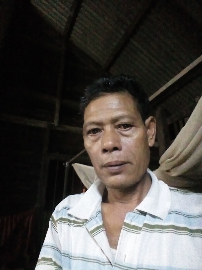 ဦးမြင့်သိန်း