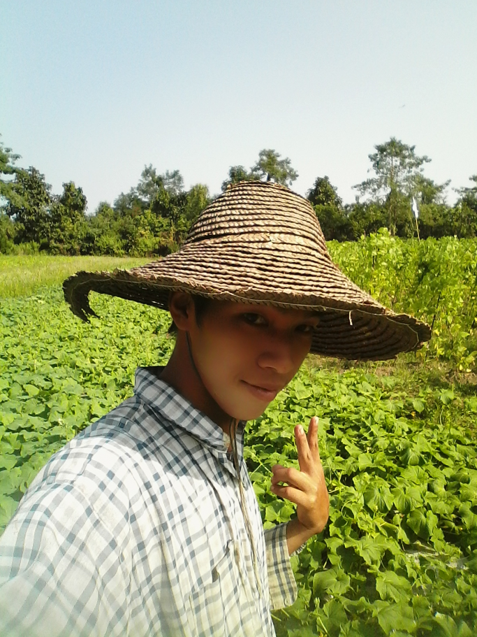မြင့်မိုရ်ဦး