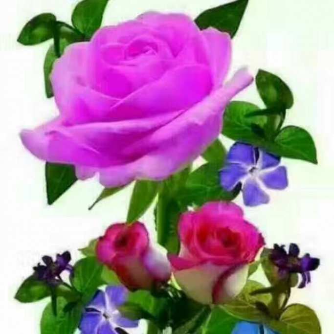 ချစ်မင်း