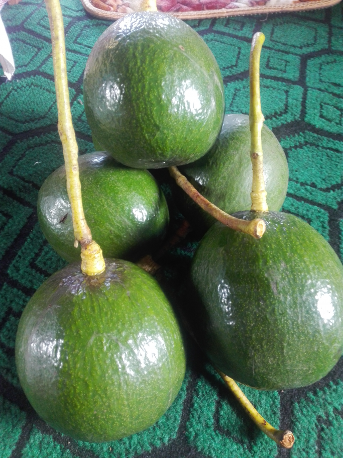 ဆန်းလေး