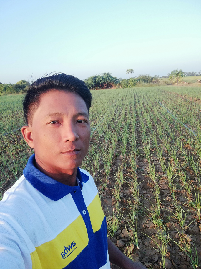 ကိုသိန်းဇော်
