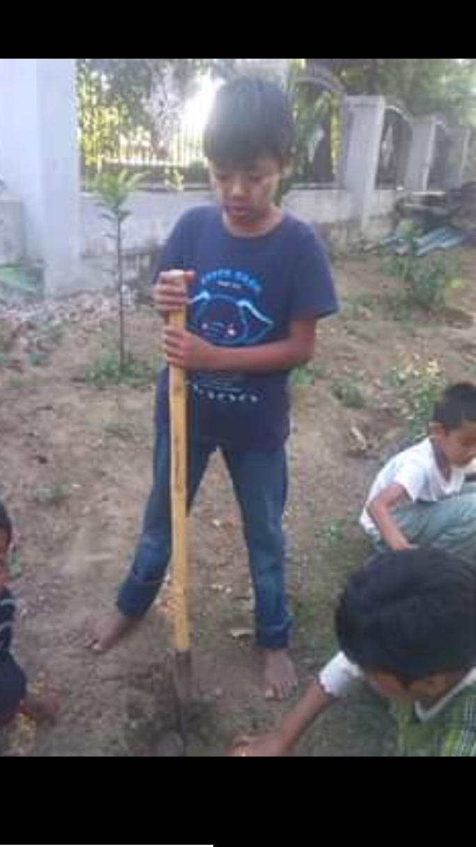 Arnold Jt