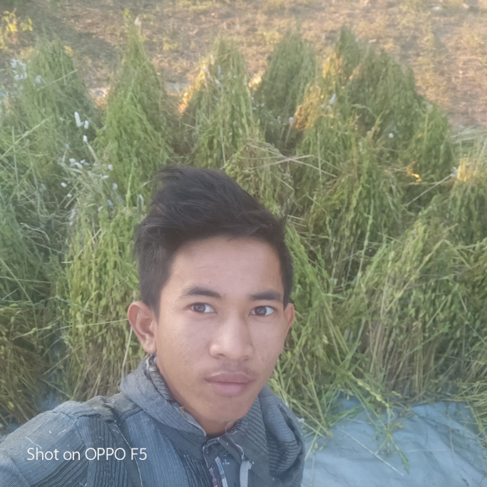 မောင်းဝင်းမိုးကျော်