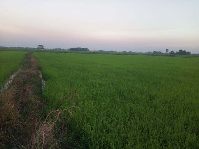 Win Htet Aung