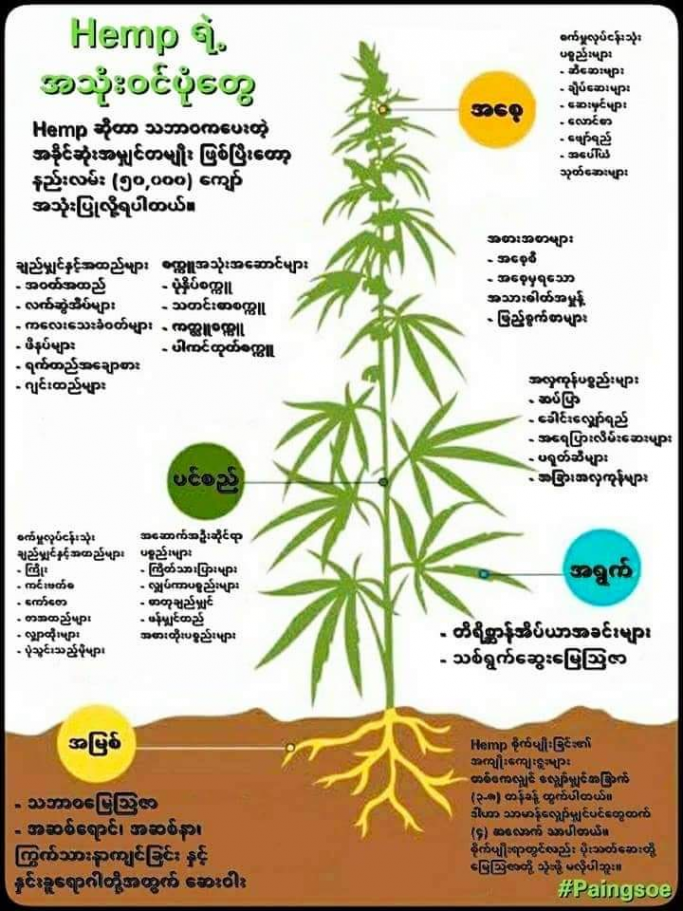 ဖြိုးကျော်ဇော