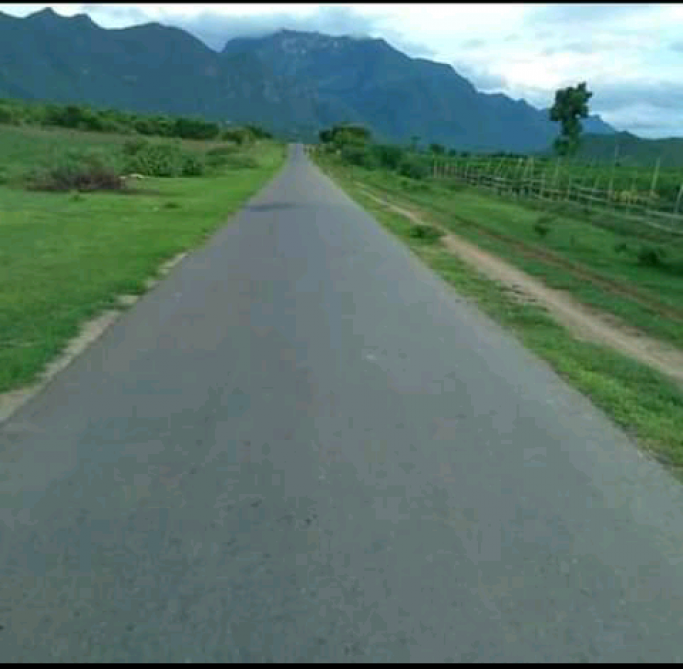 သဏ်းဇော်