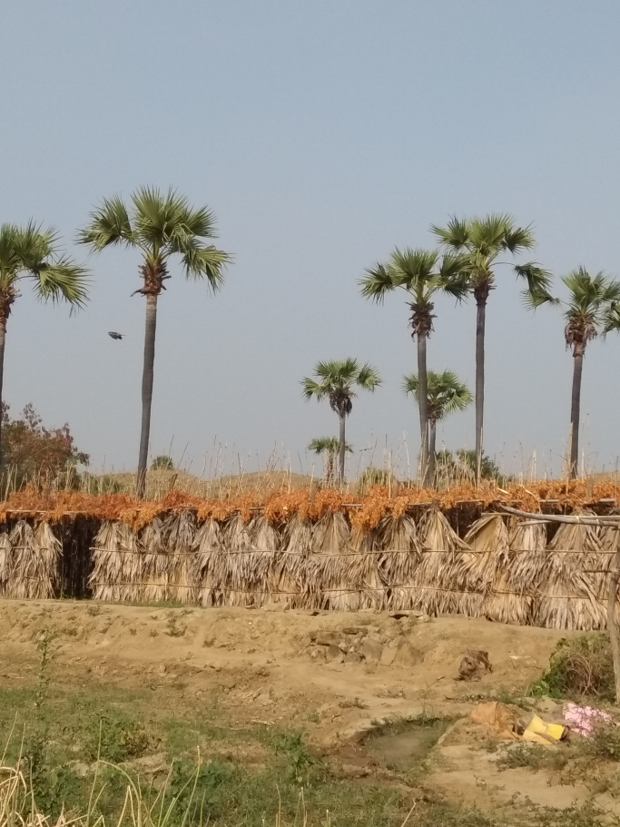 ဦးမင်း