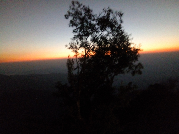 ကိုရဲ