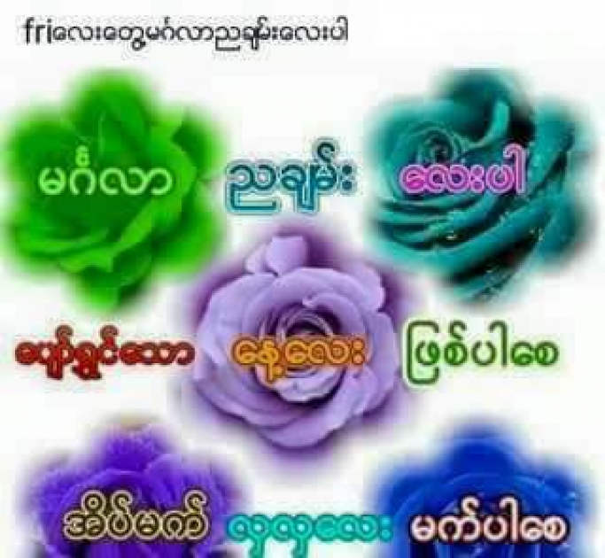 မမာကြည်