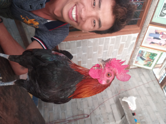 Tun Tun