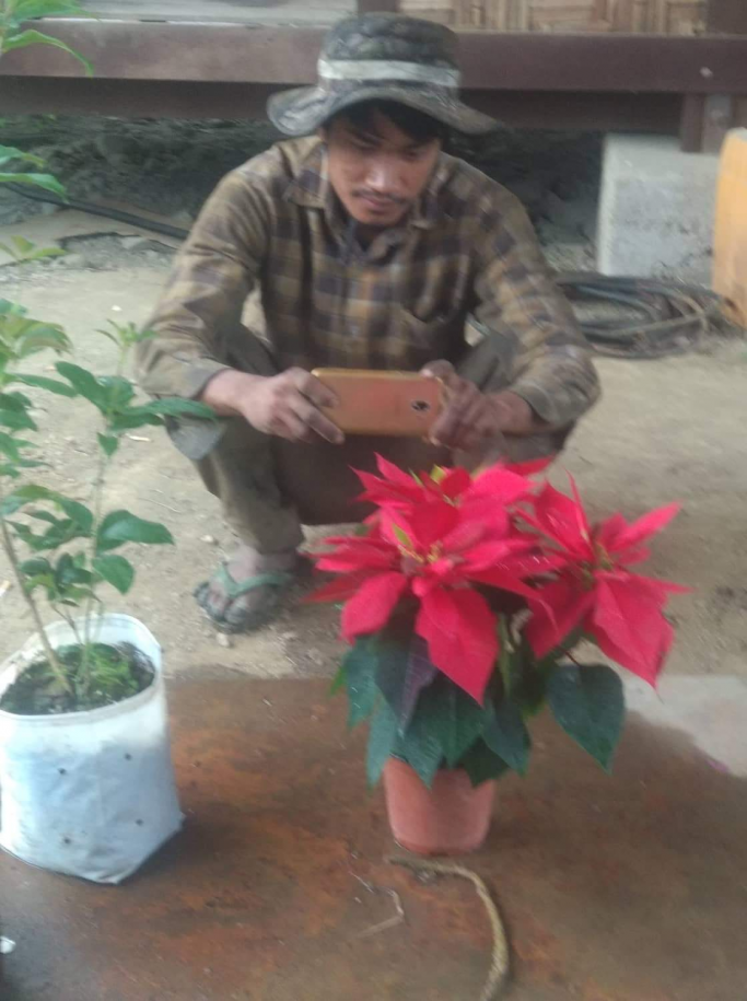 အုန်းကျော်မြင့်