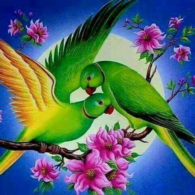 ကိုဝင်းနောင်