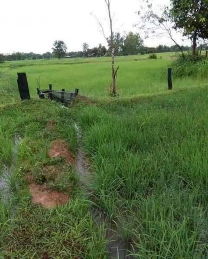 ဖြိုးကျော်