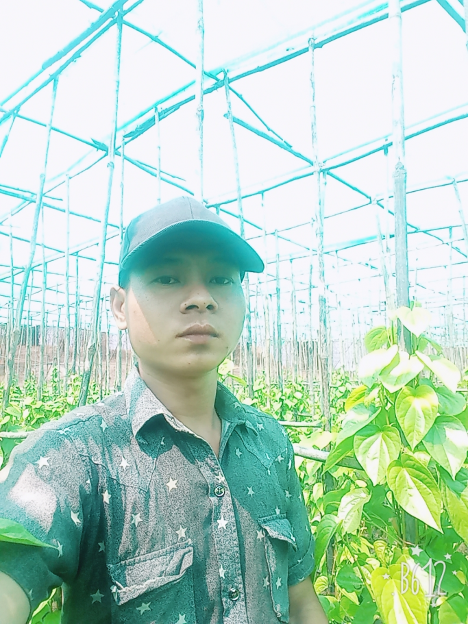 သက်ကိုကို
