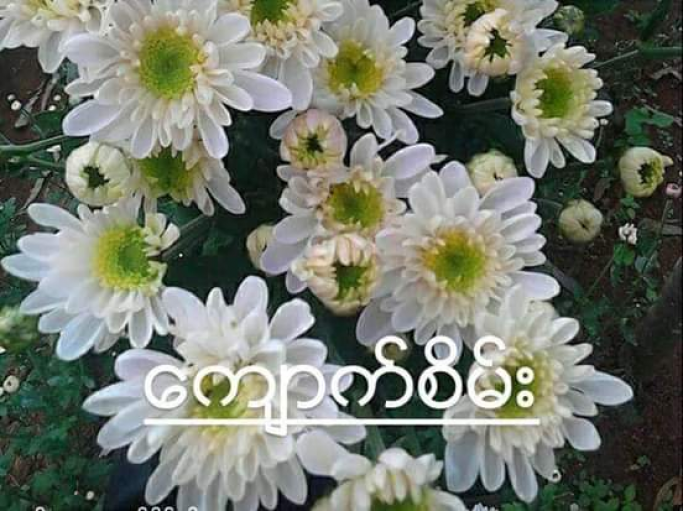 မင်းမဟော်