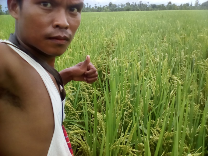 ဝင်းလှိုင်ထွန်း