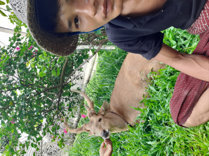 Zayar Phyoe