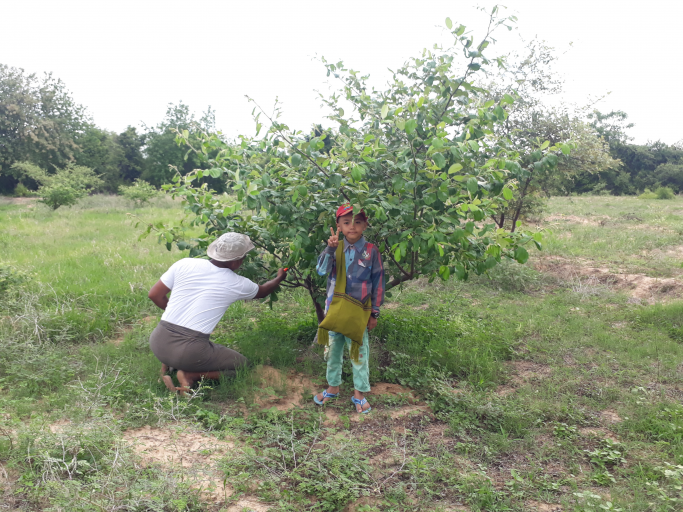 Phoe  Zaw