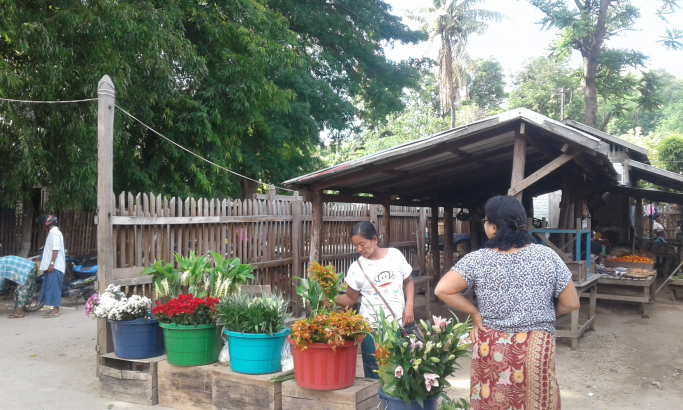 ဖြိုးသက်နိုင်