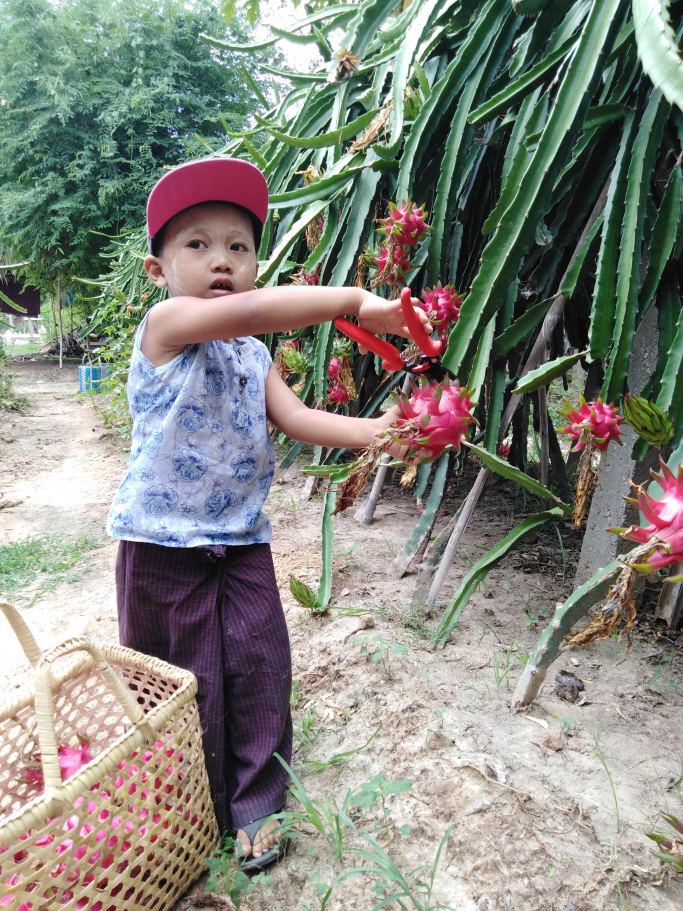 Aung Naing