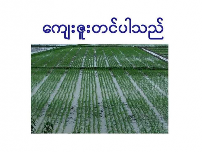 အမည်မသိ