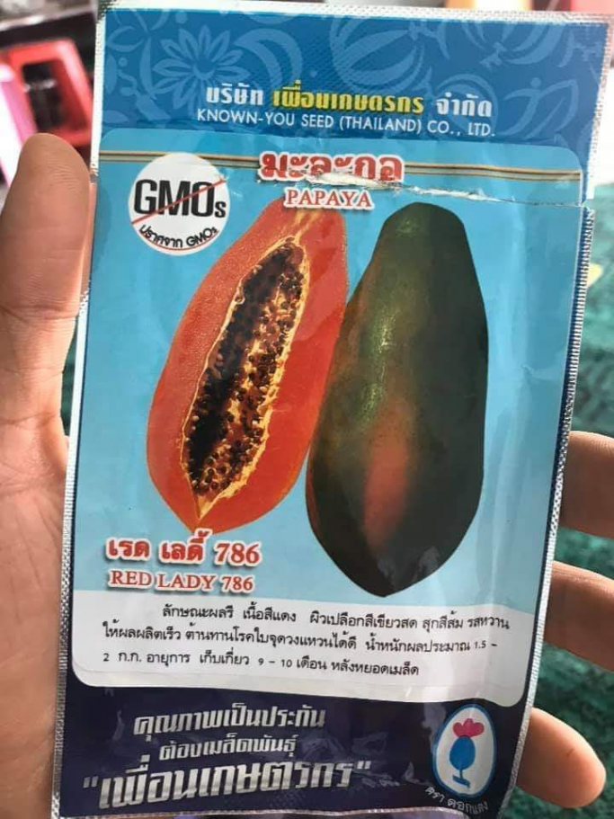 aung aung