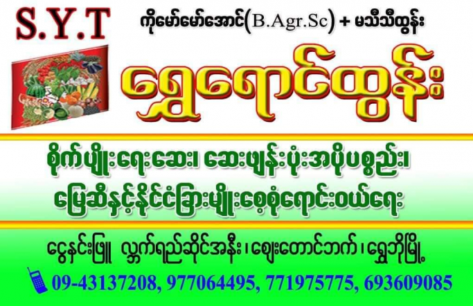 ကိုမော်မော်အောင်
