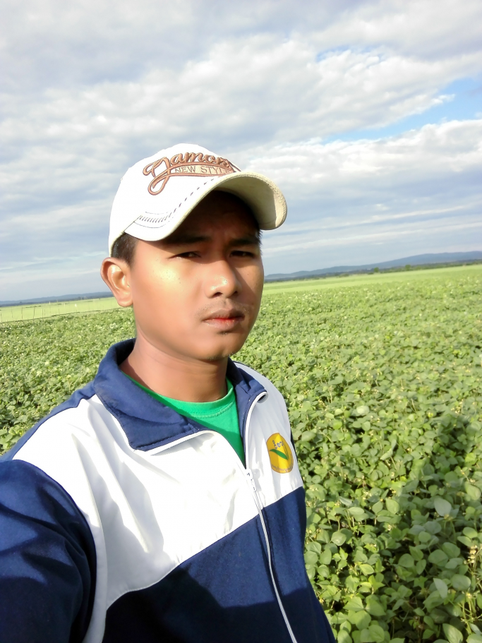 အောင်ဇော်မိုး