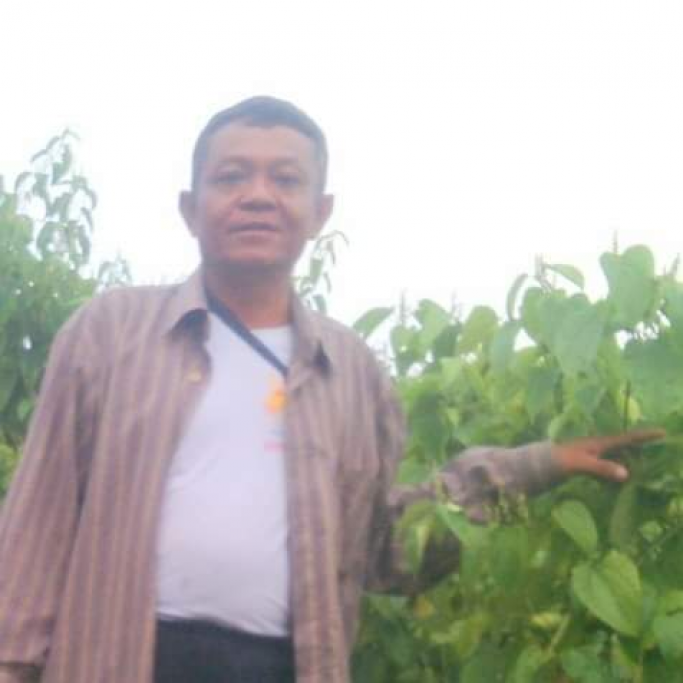 ဦးကျော်စိုး