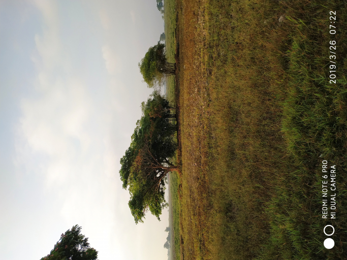 ဦထွန်းဦး