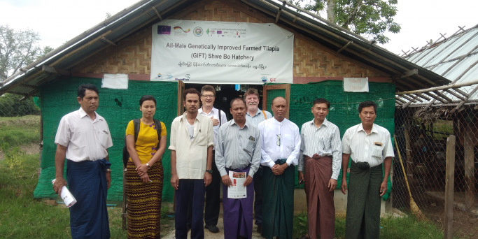 ကိုသက်ထွန်းအောင်