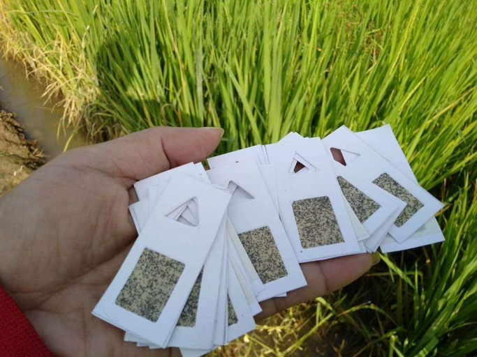 Aung Ko Ko Tun