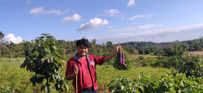 သိန်းဇော်ဦး