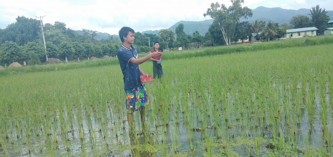 Mg Aung