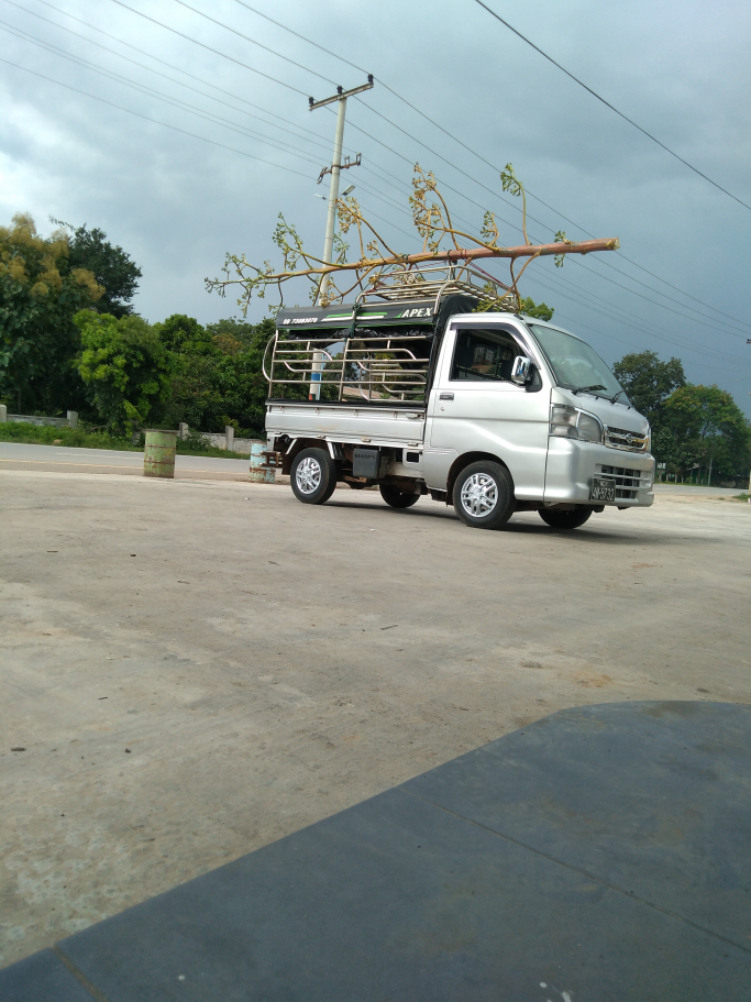ဖြိုးကိုကို