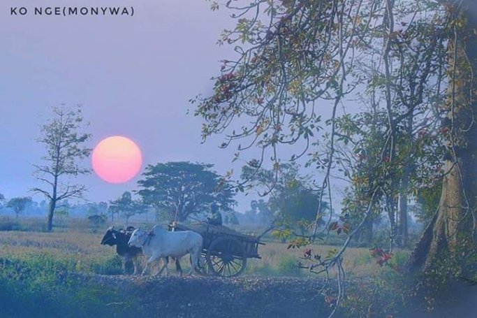 မောင်ဇော်မျိုးထွန်း