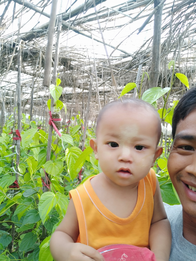 kyaw thu