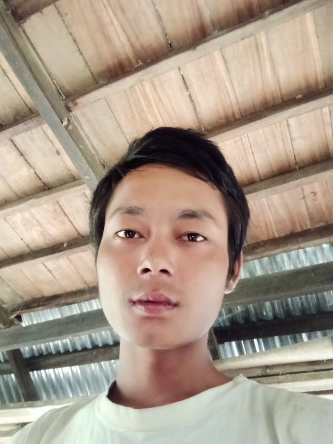 ကိုကို