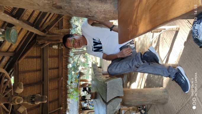 ဦးဗိုလ်သိန်းမော်