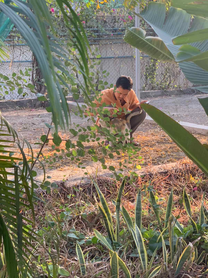 Sai Nyein Chan